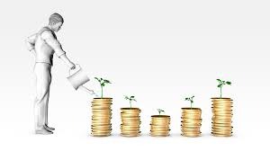 How SIP Investing Is Structured Across Mutual Fund AMCs